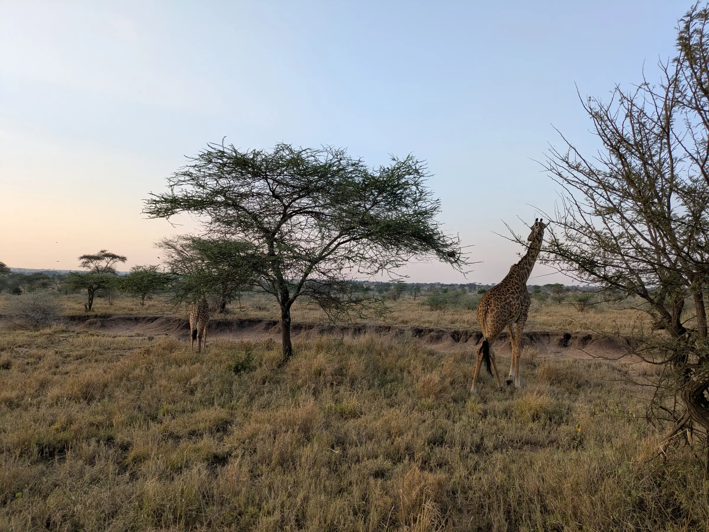 Serengeti National Park
